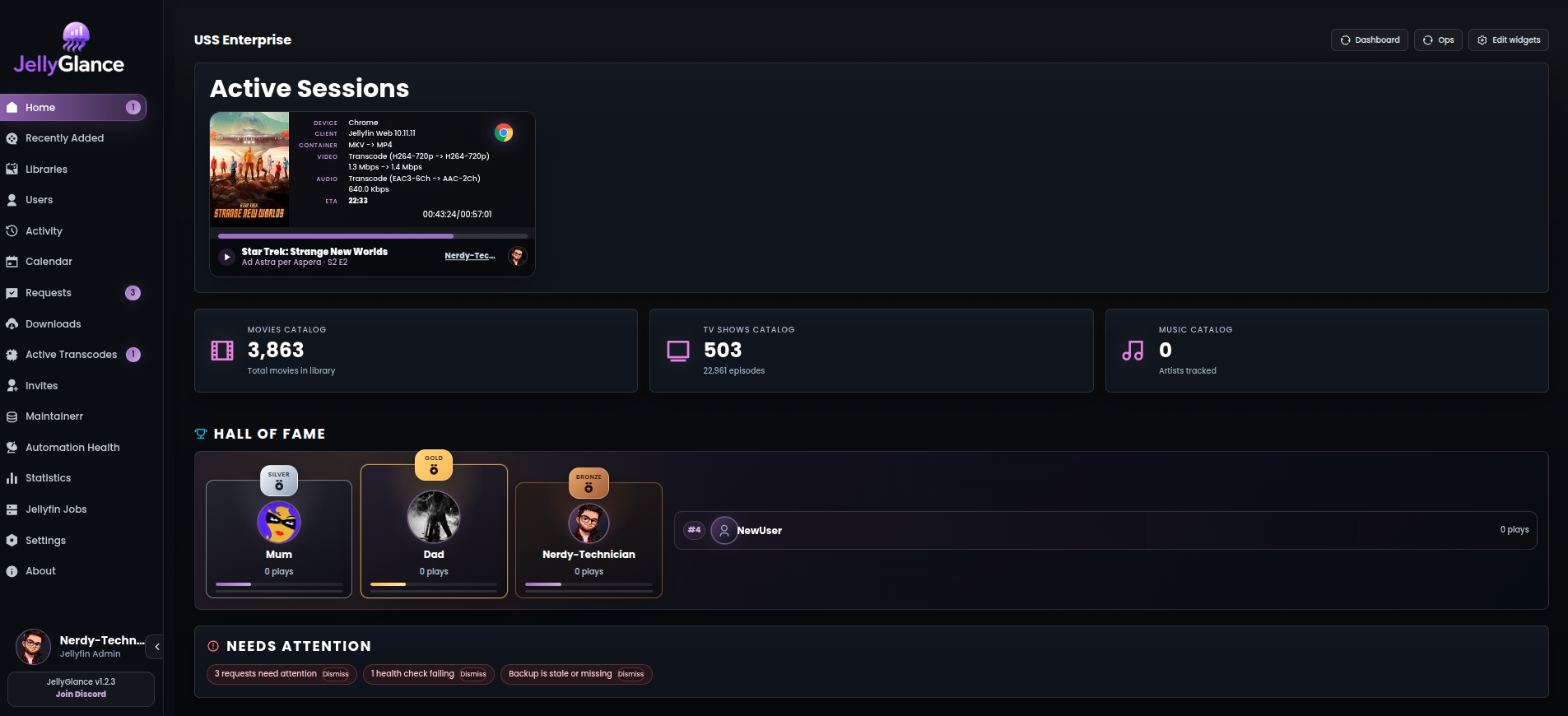 JellyGlance home dashboard